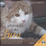 Cover of La terapia delle fusa. Con CD Audio