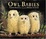 Cover of Owl Babies