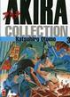 Cover of Akira collection 3