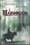 Cover of I Mabinogion