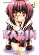 Cover of Karin nº 01
