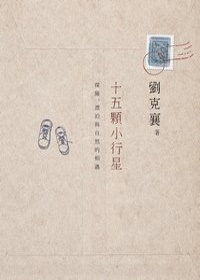 More about 十五顆小行星