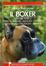 Cover of Il boxer