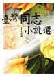 Cover of 臺灣同志小說選