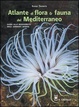 Cover of Atlante di flora & fauna del Mediterraneo
