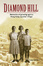 Cover of Diamond Hill