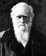 Cover of The Pocket Darwin