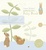 Cover of Peter Rabbit Naturally Better