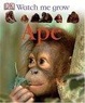 Cover of Ape