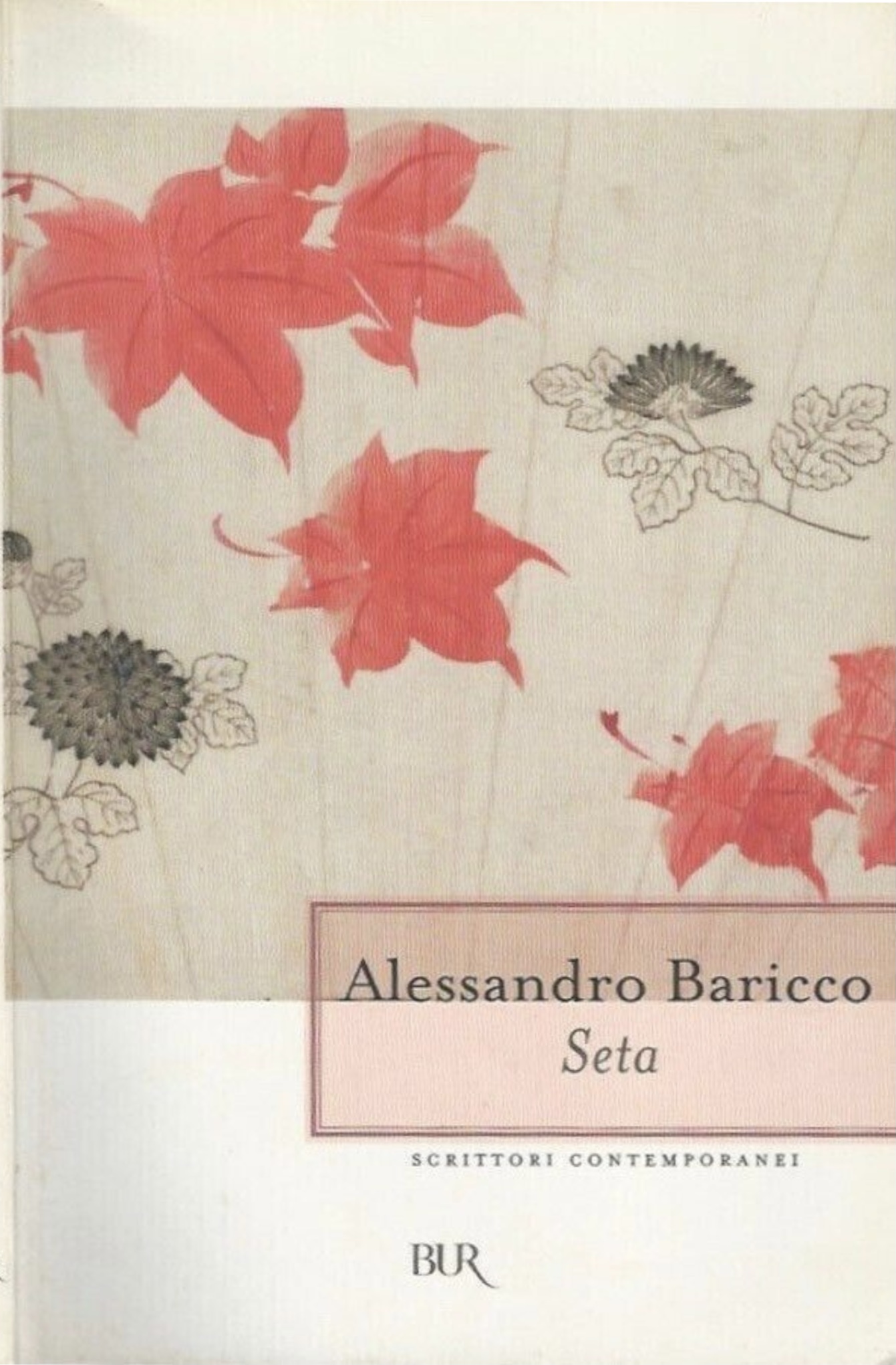 Image of Seta
