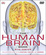 Cover of The Human Brain Book
