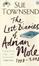 Cover of The Lost Diaries of Adrian Mole, 1999-2001