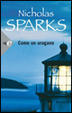 Cover of Come un uragano