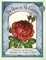 Cover of "The Rose in My Garden"