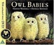 Cover of Owl Babies