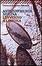 Cover of L'inverno a Lisbona