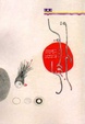 Cover of The Red Ladybird
