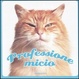 Cover of Professione micio
