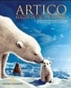 Cover of Artico. Magia di un racconto