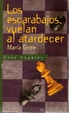 Cover of Los escarabajos vuelan al atardecer
