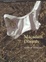 Cover of "Macadam Dreams"