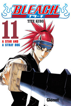 Image of Bleach, nº 11