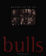Cover of "Chicago Bulls"