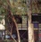 Cover of Eames House Aid