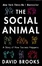 Cover of Social Animal