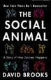 Cover of Social Animal