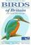 Cover of "Pocket Guide to the Birds of Britain and North-West Europe"