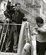 Cover of 'François Truffaut at Work'
