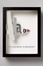 Cover of 'Ada, or, Ardor, a family chronicle'