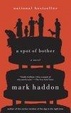 Cover of A Spot of Bother