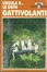 Cover of I Gattivolanti