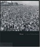 Cover of Weegee