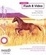 Cover of "Foundation Flash 8 Video"