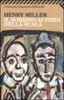 Cover of Il sorriso ai piedi della scala