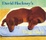 Cover of "David Hockney's Dog Days"