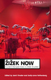 Cover of Zizek Now