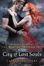 Cover of City of Lost Souls