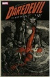Cover of Daredevil: Vol. 2