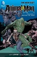Cover of Animal Man: Animal vs. Man Vol 2