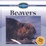 Cover of "Beavers" Cover of "Beavers"