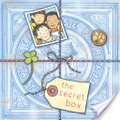 The secret box 封面