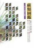 蕨類圖鑑  : 台灣三百多種蕨類生態圖鑑
