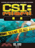 CSI犯罪現場:邁阿密  : 激流