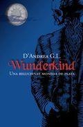 More about Wunderkind