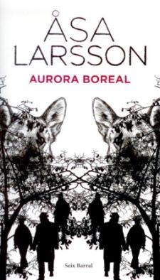 More about Aurora Boreal