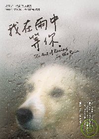 More about 我在雨中等你